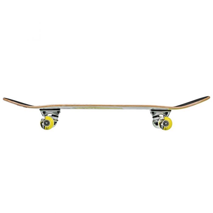 RDS Street 30 Series Skateboard MR. BEAR Complete